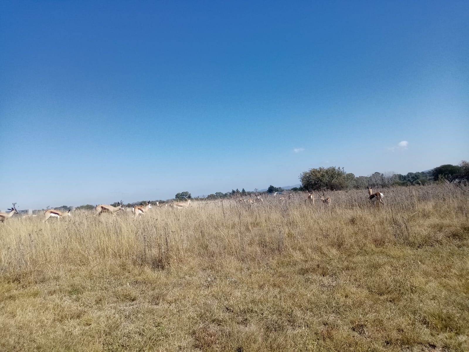 790 m² Land available in Parys Golf Estate photo number 4
