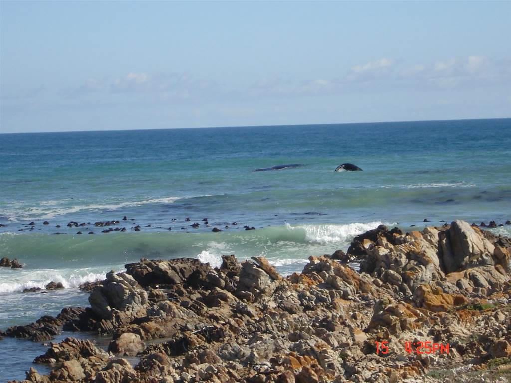 1086 m² Land available in Pearly Beach photo number 10