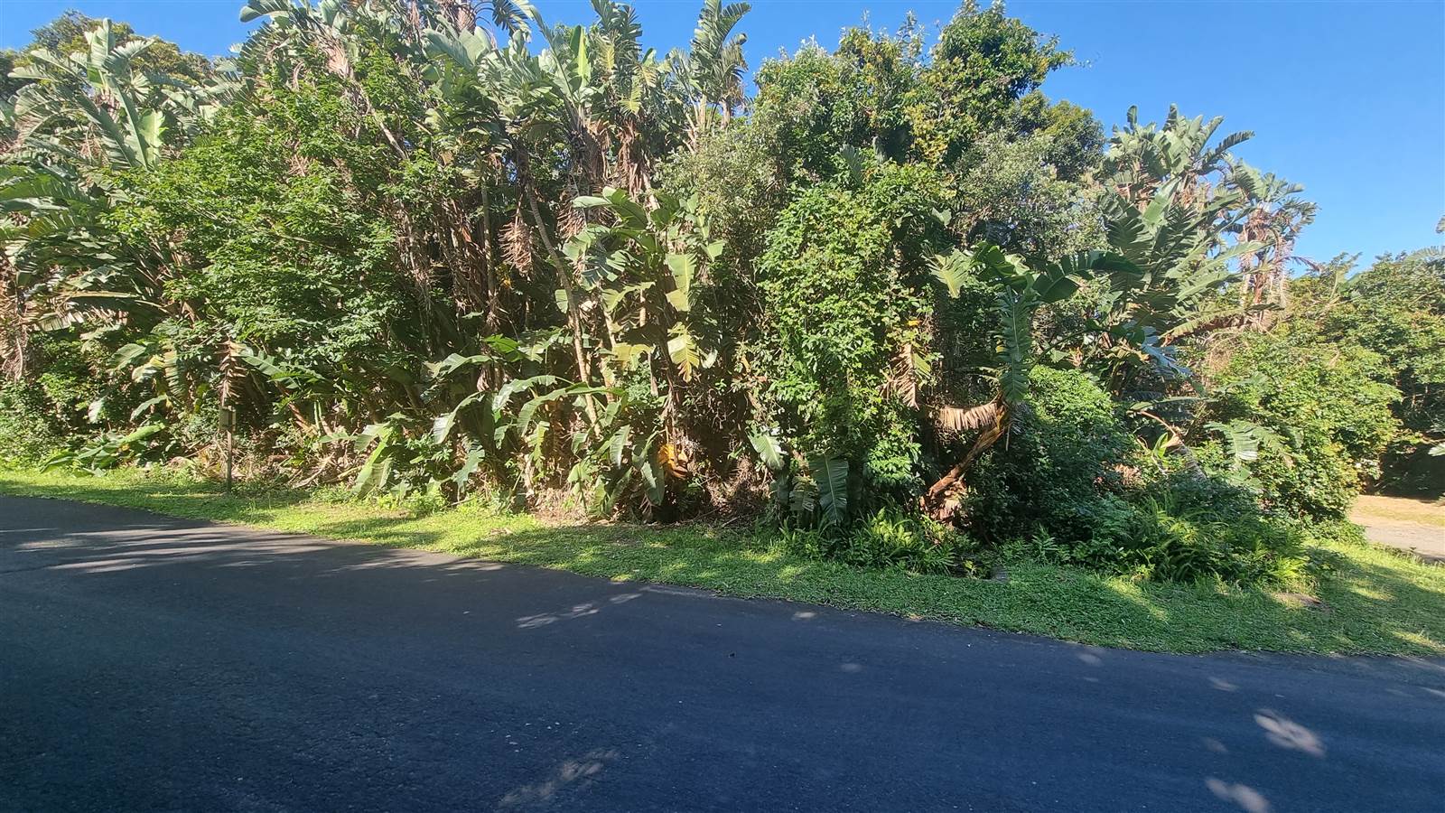 1339 m² Land available in Palm Beach photo number 3