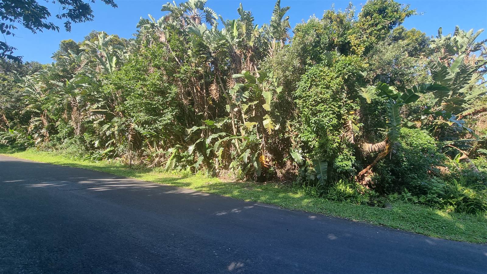 1339 m² Land available in Palm Beach photo number 4
