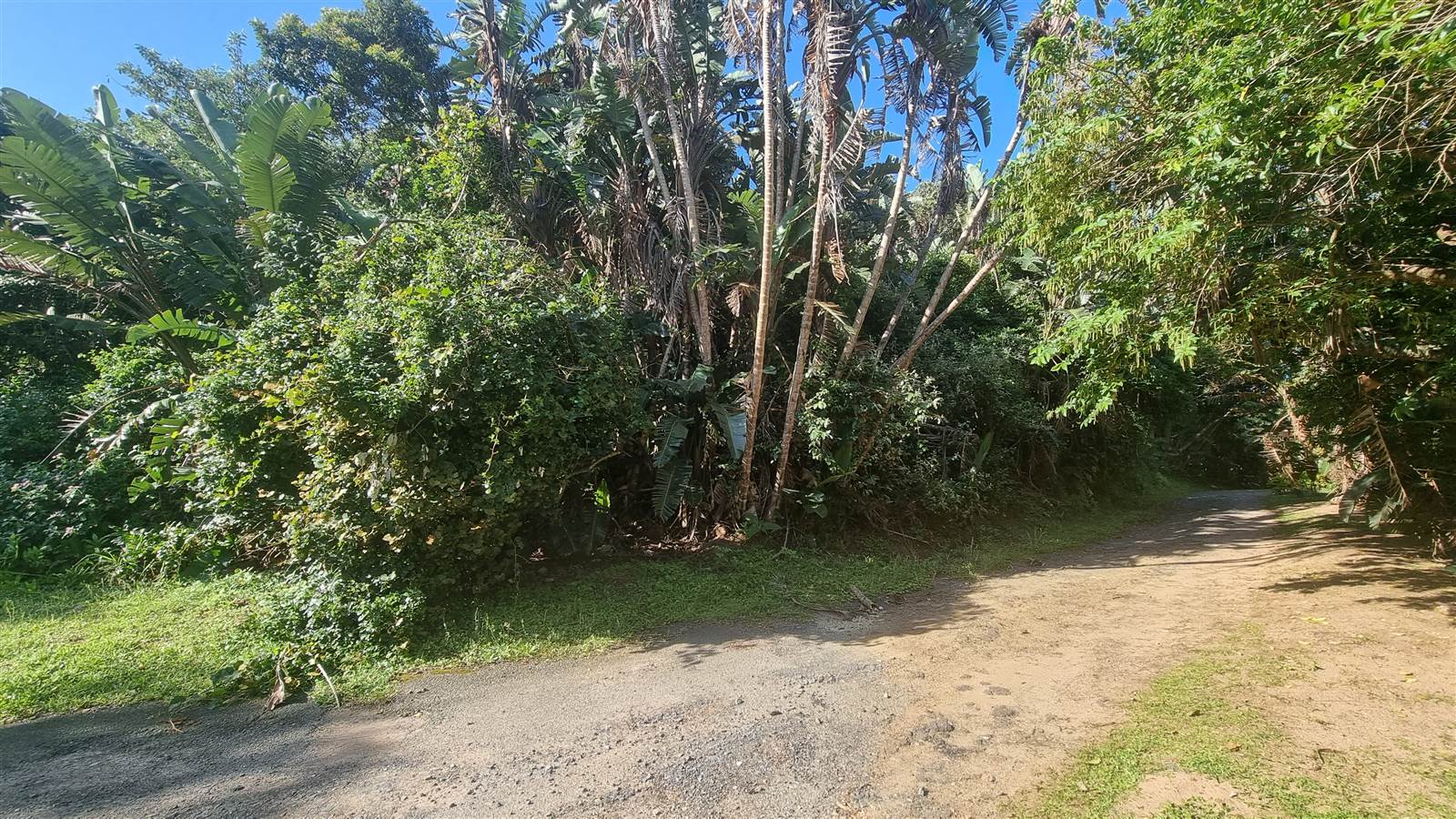 1339 m² Land available in Palm Beach photo number 2