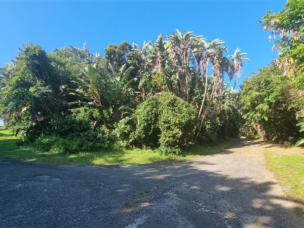 1339 m² Land available in Palm Beach