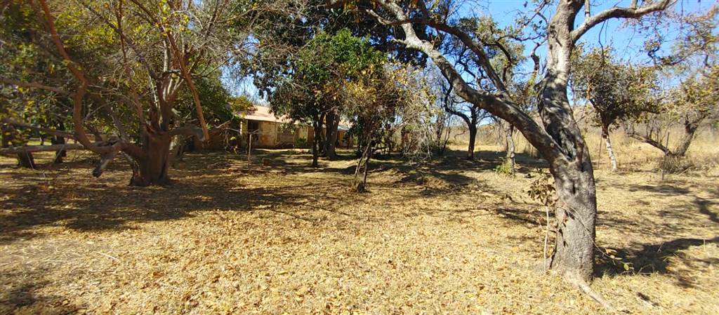 8.6 ha Land available in Amandasig photo number 8