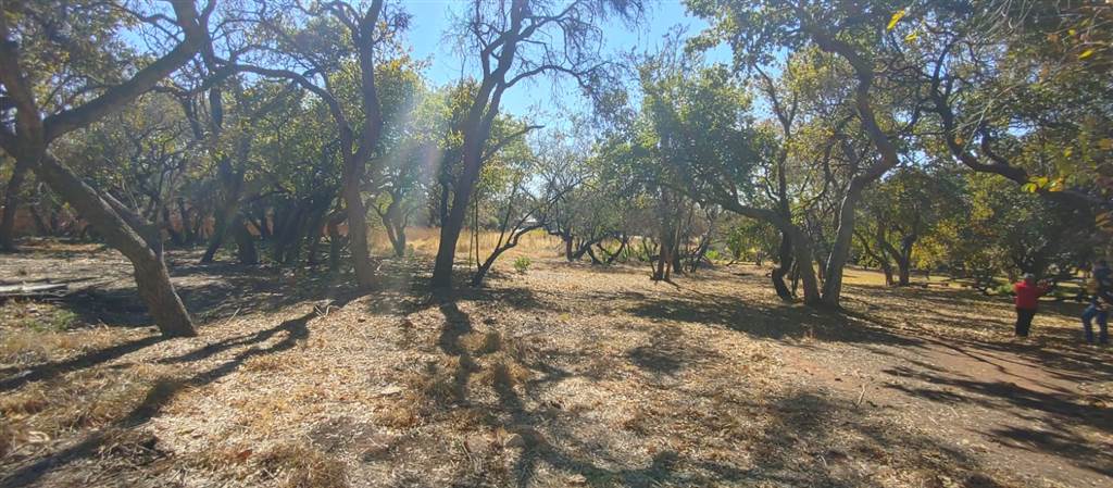 8.6 ha Land available in Amandasig photo number 6