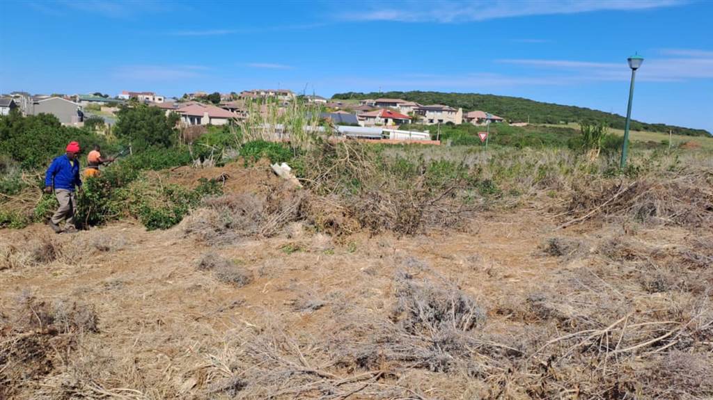 375 m² Land available in Emerald Heights photo number 5