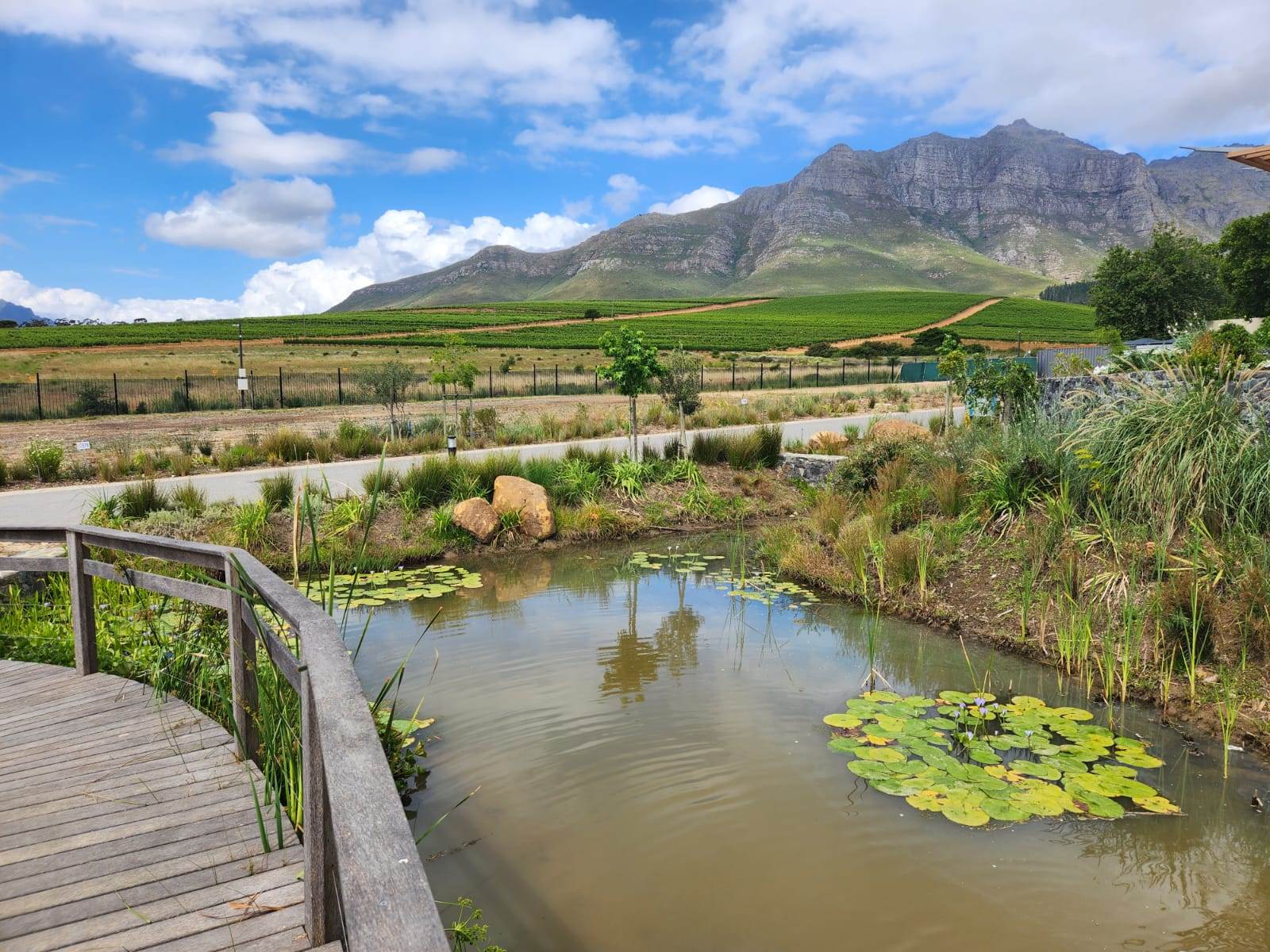 450 m² Land available in Stellenbosch Central photo number 17