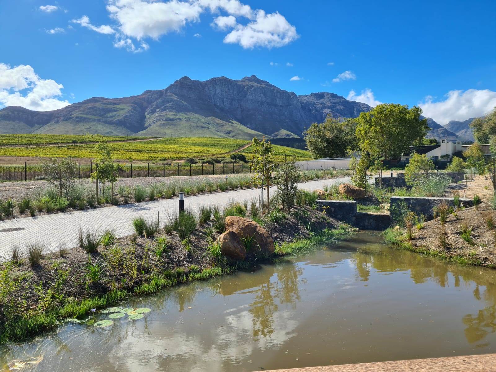 450 m² Land available in Stellenbosch Central photo number 16