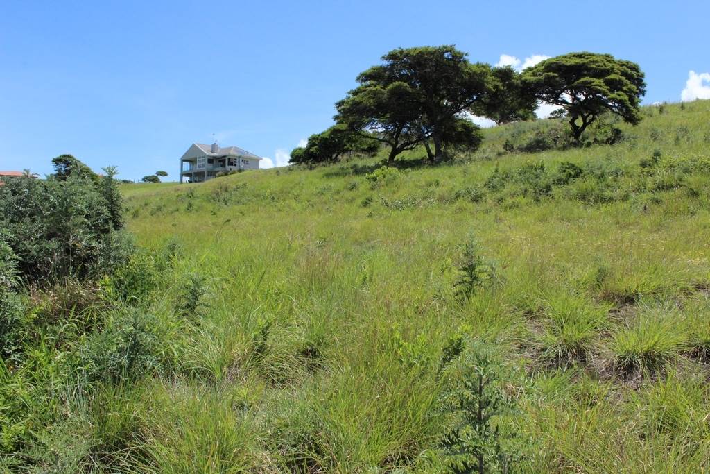 866 m² Land available in Cintsa photo number 10
