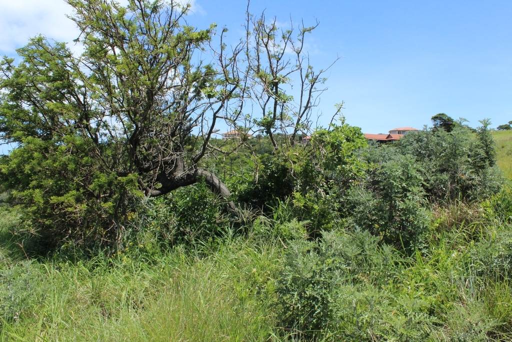 866 m² Land available in Cintsa photo number 8