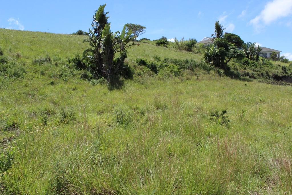 866 m² Land available in Cintsa photo number 6