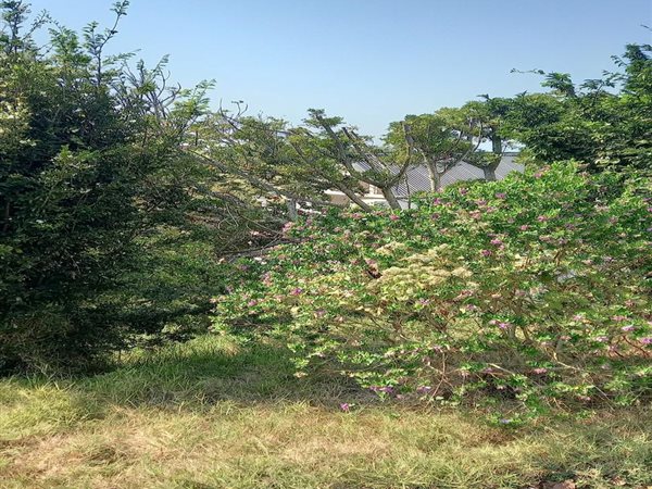 733 m² Land available in Princes Grant Golf Estate