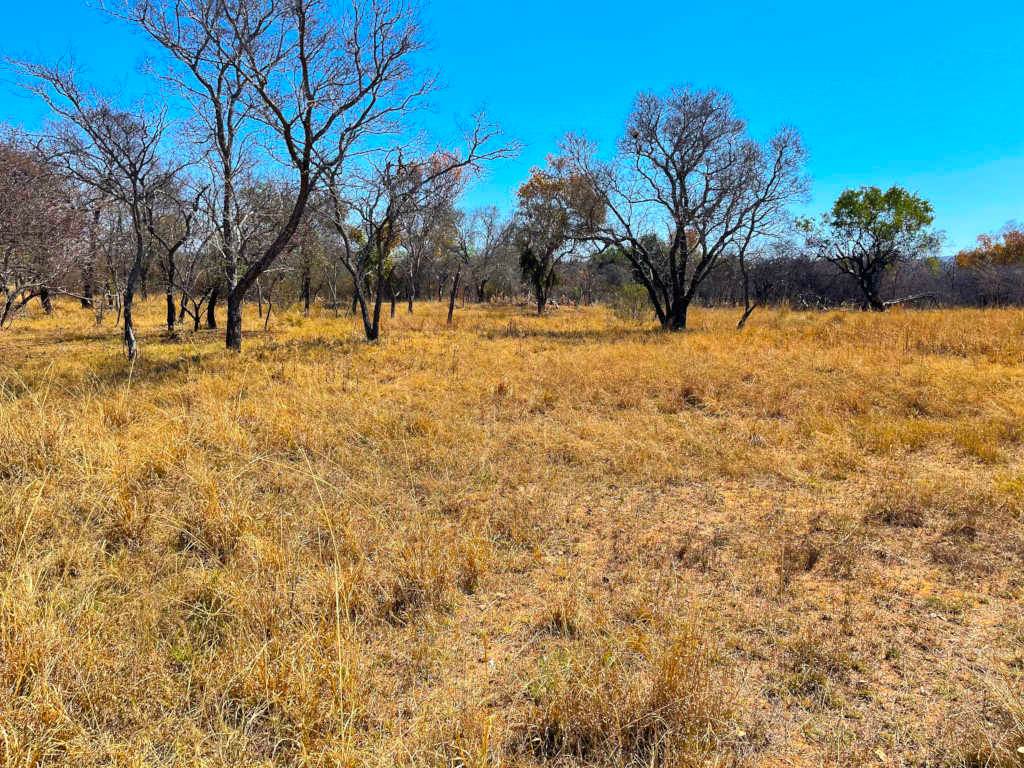 1112 m² Land available in Koro Creek Golf Estate photo number 3