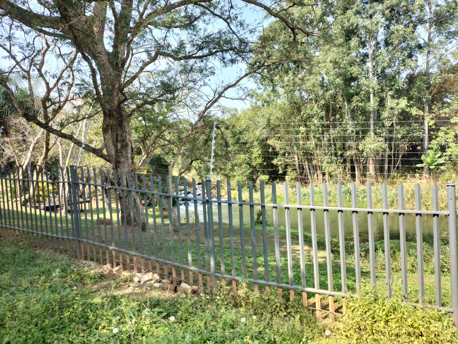 4243 m² Land available in Tzaneen photo number 8
