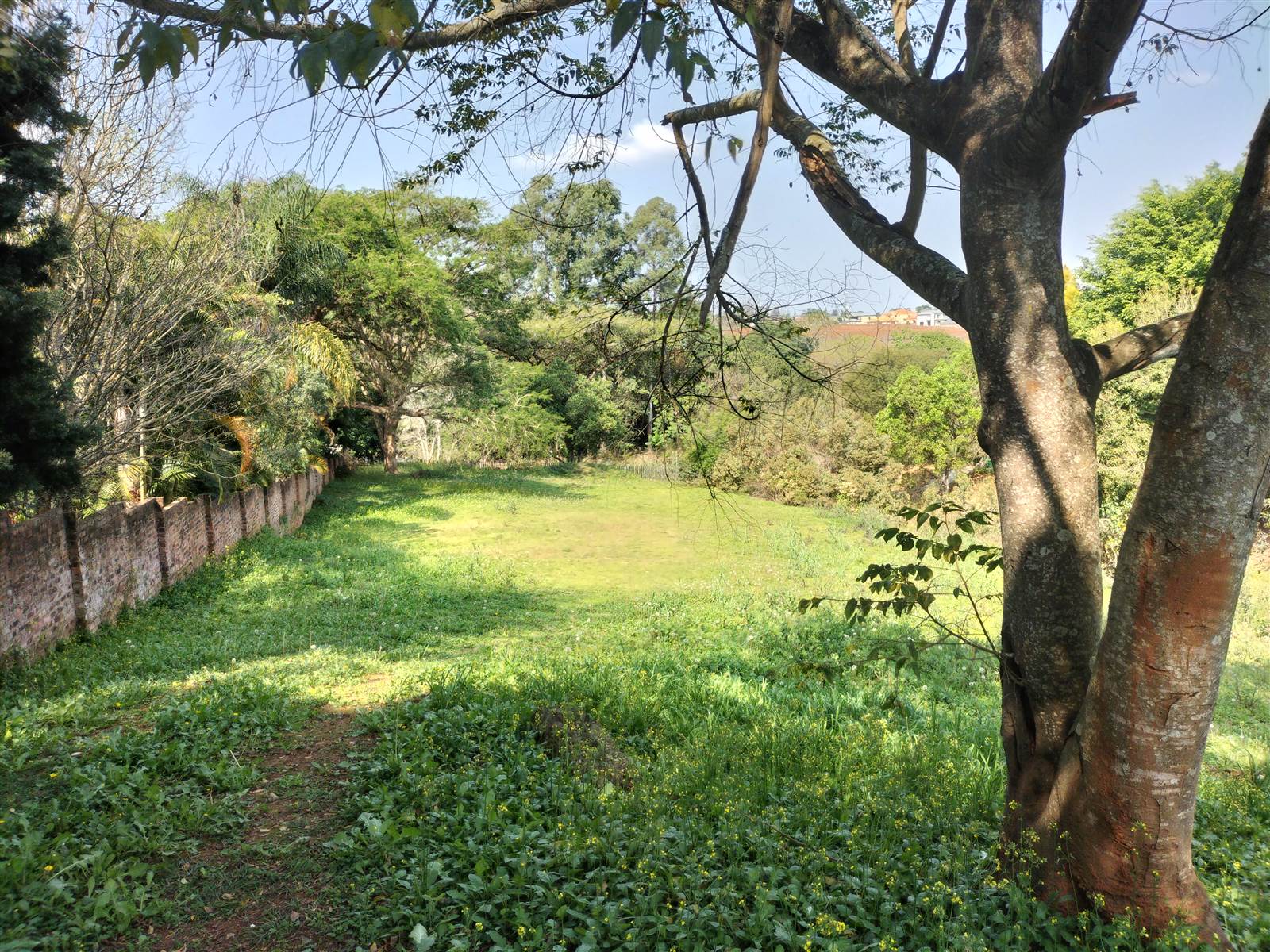 4243 m² Land available in Tzaneen photo number 2