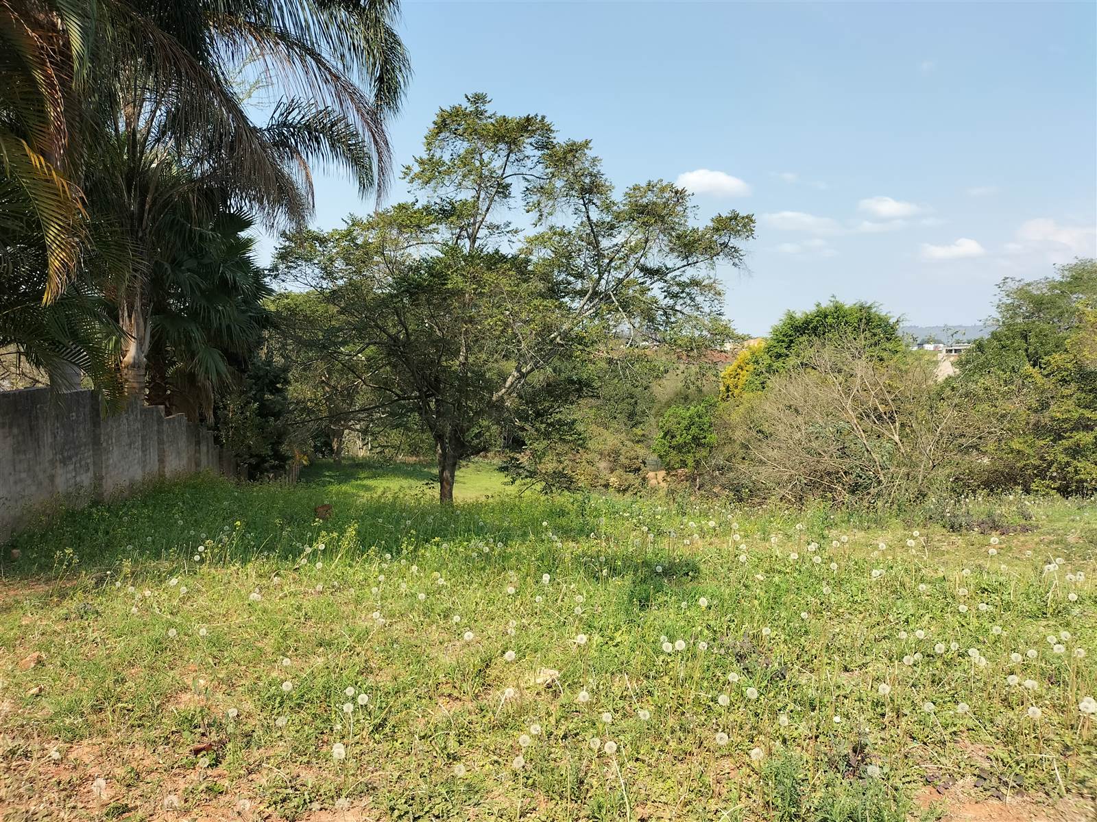 4243 m² Land available in Tzaneen photo number 16