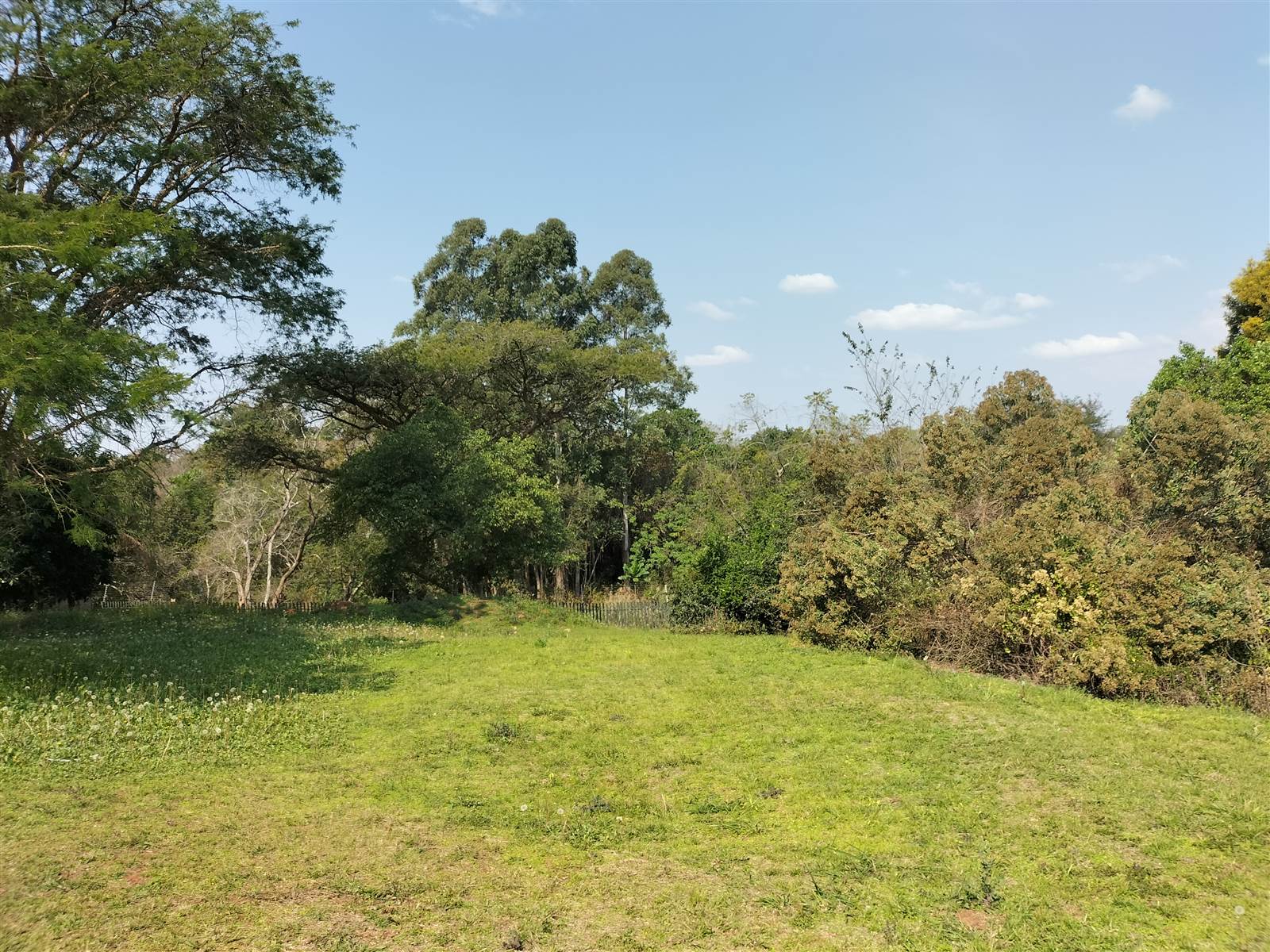 4243 m² Land available in Tzaneen photo number 14