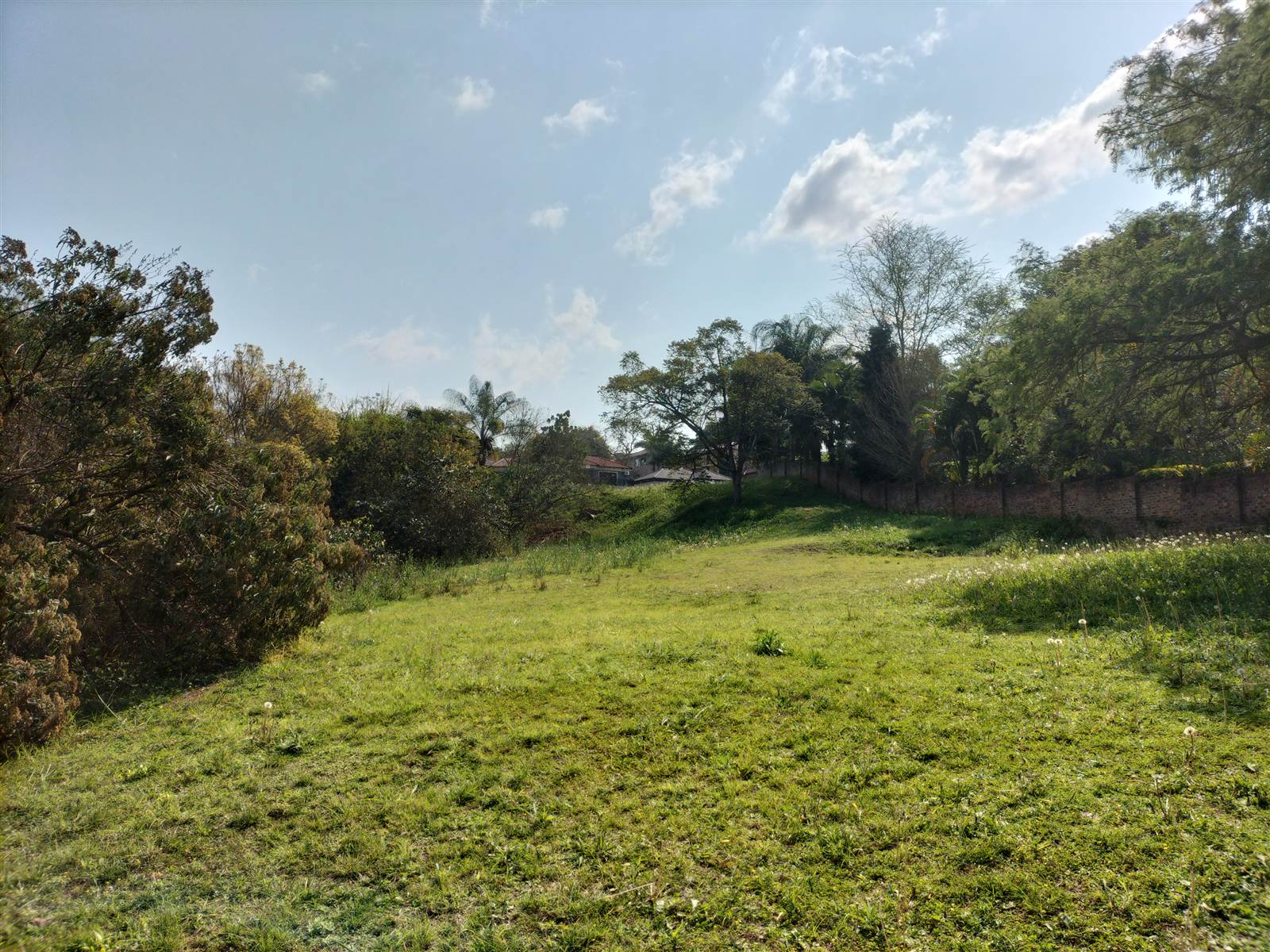 4243 m² Land available in Tzaneen photo number 12