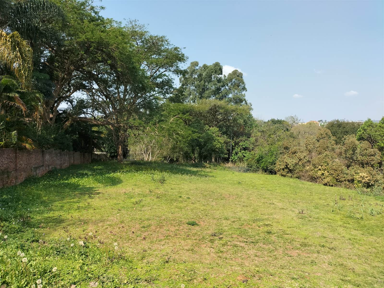 4243 m² Land available in Tzaneen photo number 6