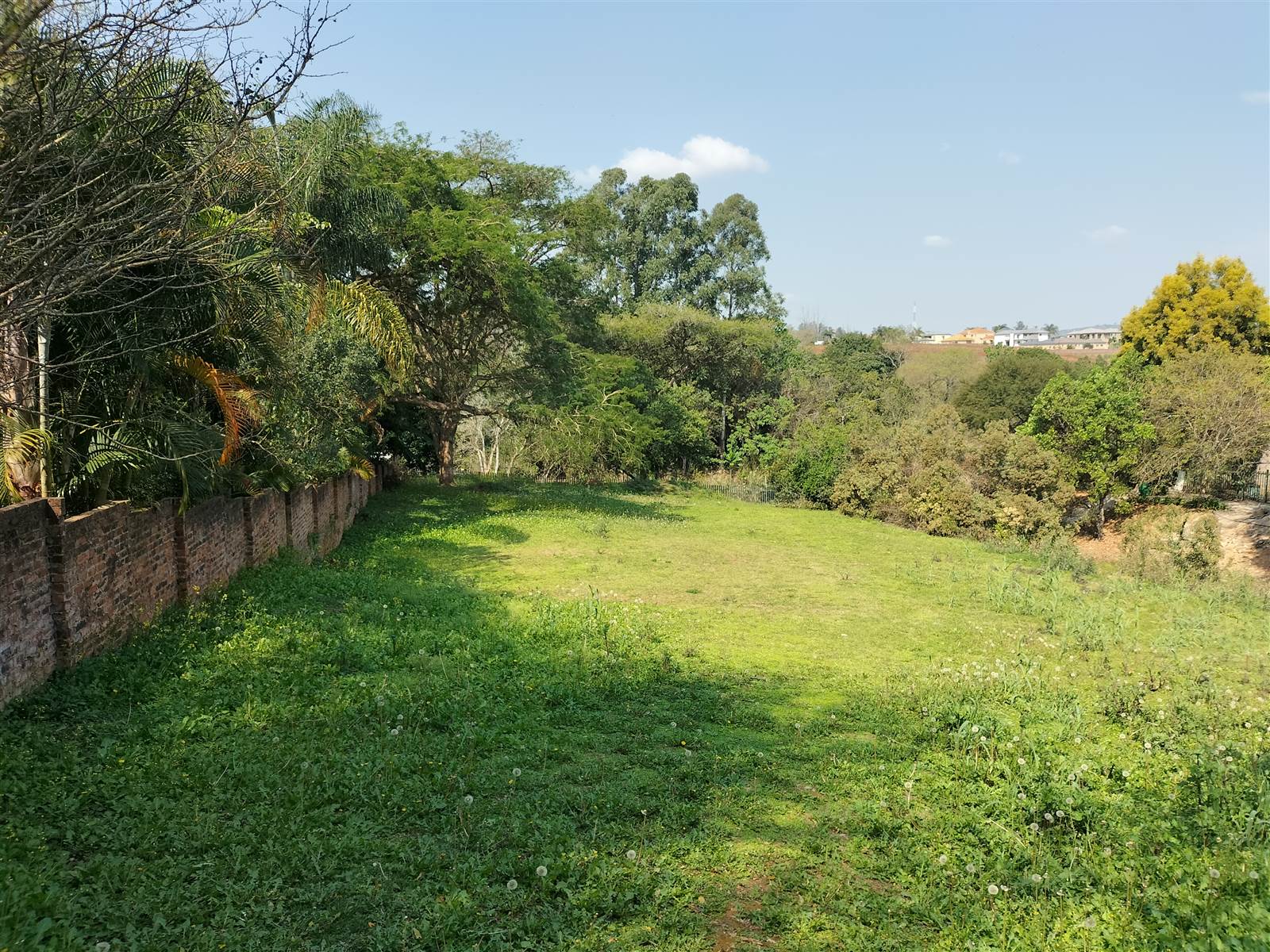 4243 m² Land available in Tzaneen photo number 4