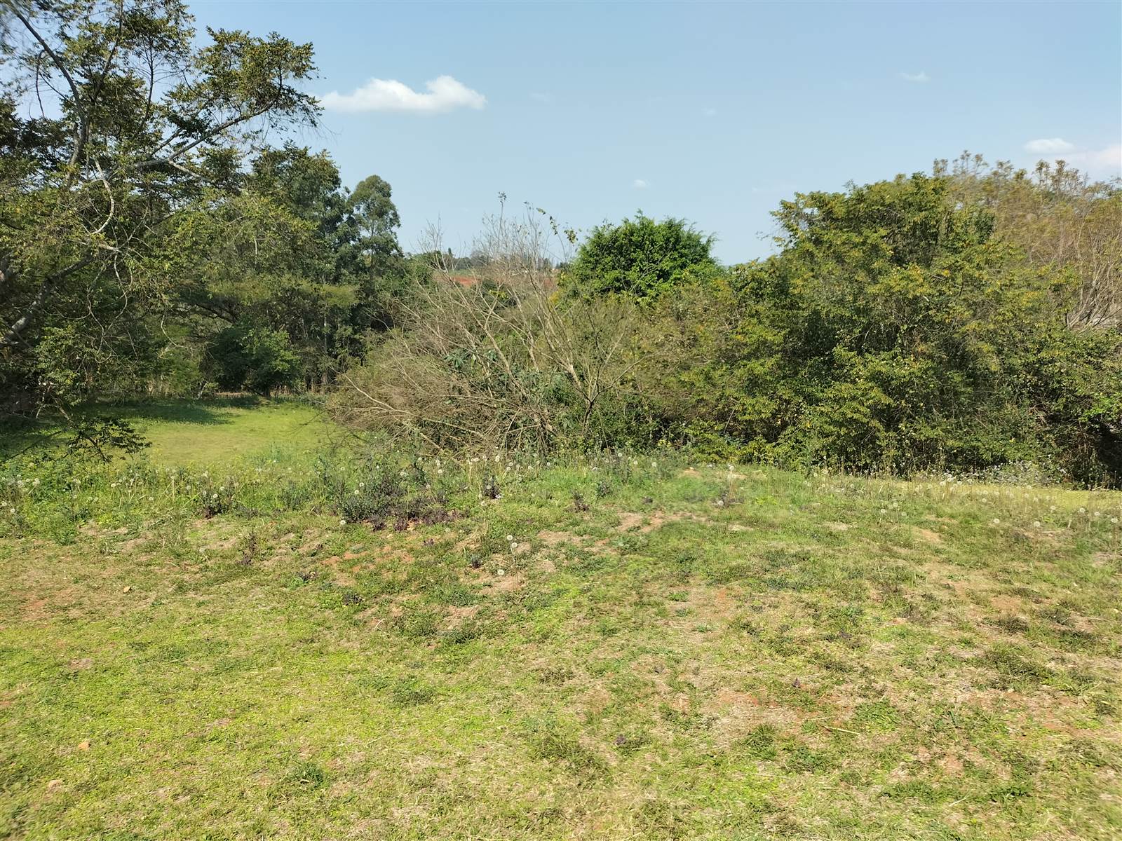 4243 m² Land available in Tzaneen photo number 5