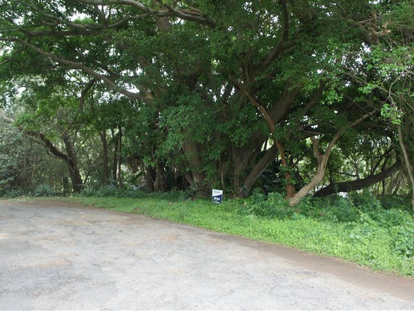 1140 m² Land available in Kelso