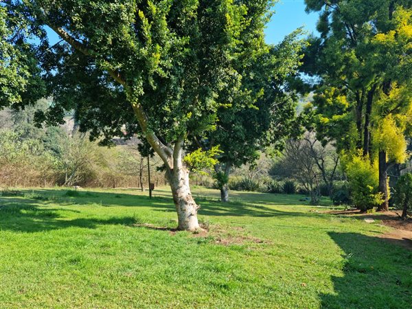 2162 m² Land available in Ixopo