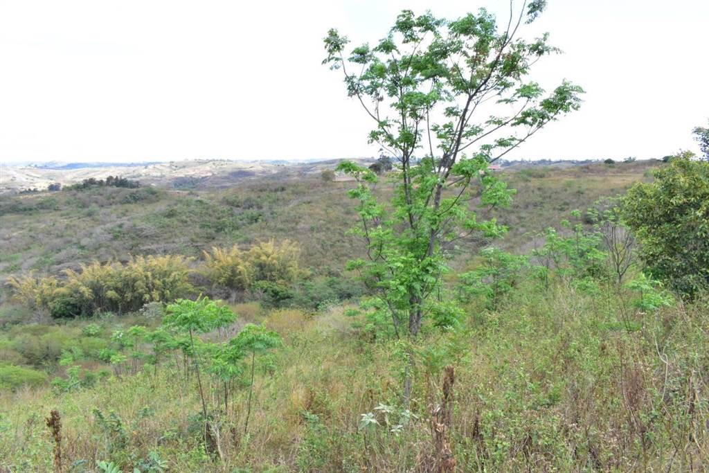 3 ha Land available in Tongaat Central photo number 10