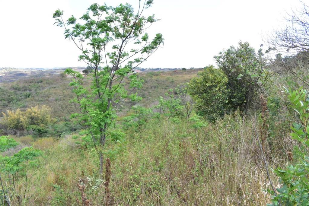 3 ha Land available in Tongaat Central photo number 18