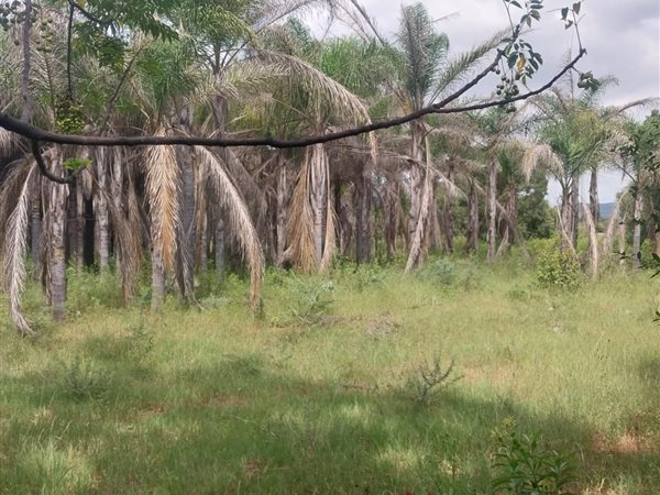 4 ha Land 4 ha Land