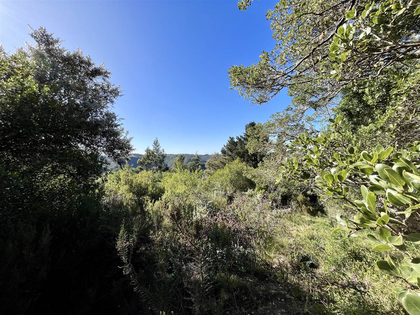 3.4 ha Land available in Wilderness Heights photo number 1