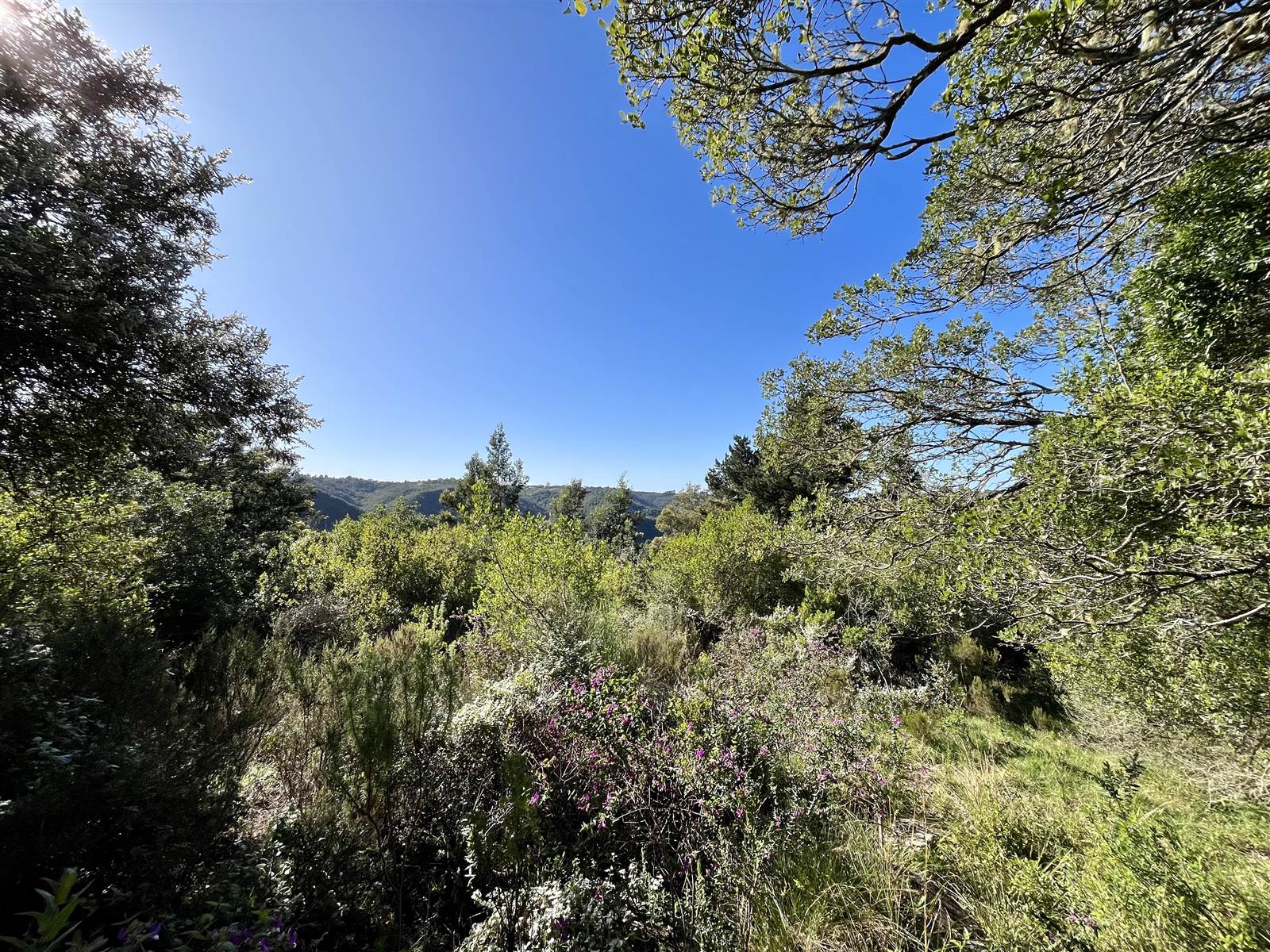 3.4 ha Land available in Wilderness Heights photo number 4