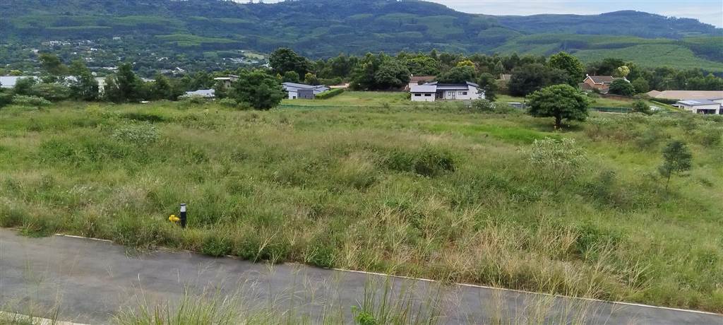 799 m² Land available in Montrose photo number 1