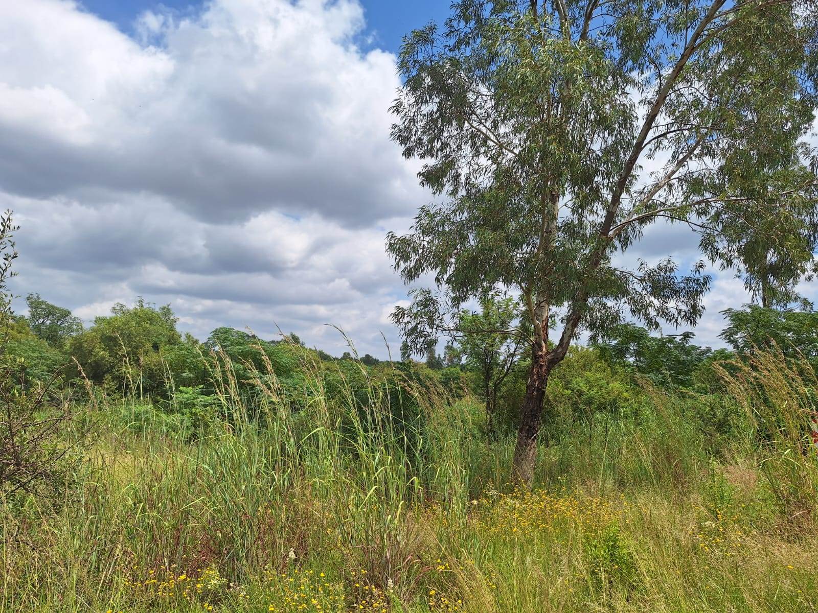 8.5 ha Land available in Rosslyn photo number 27