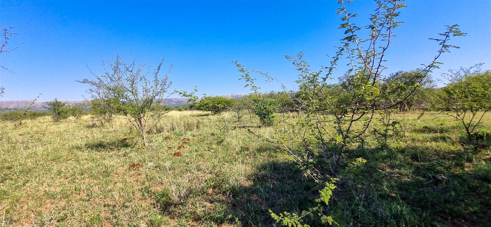 6.8 ha Land available in Hartbeespoort Dam photo number 11
