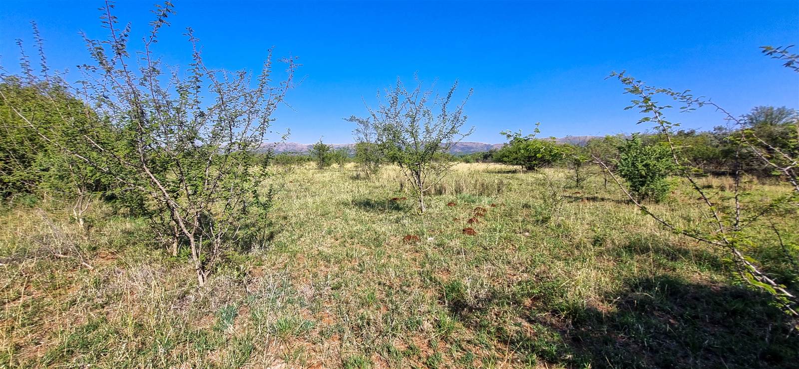6.8 ha Land available in Hartbeespoort Dam photo number 10