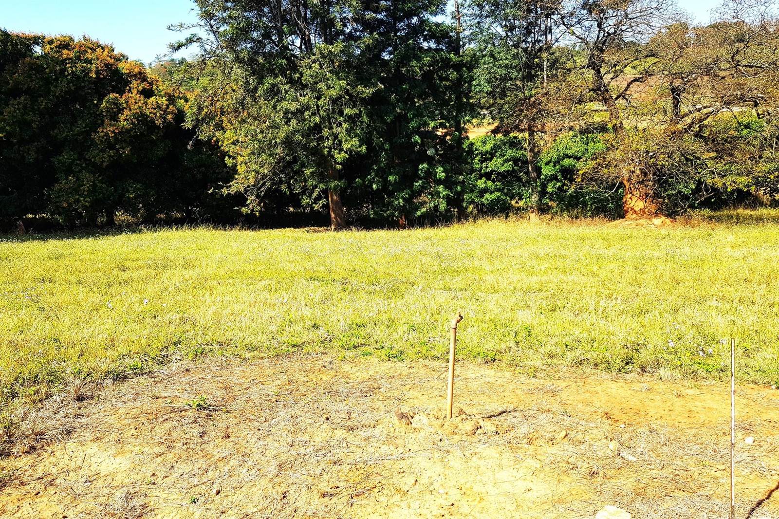 3279 m² Land available in Tzaneen photo number 4