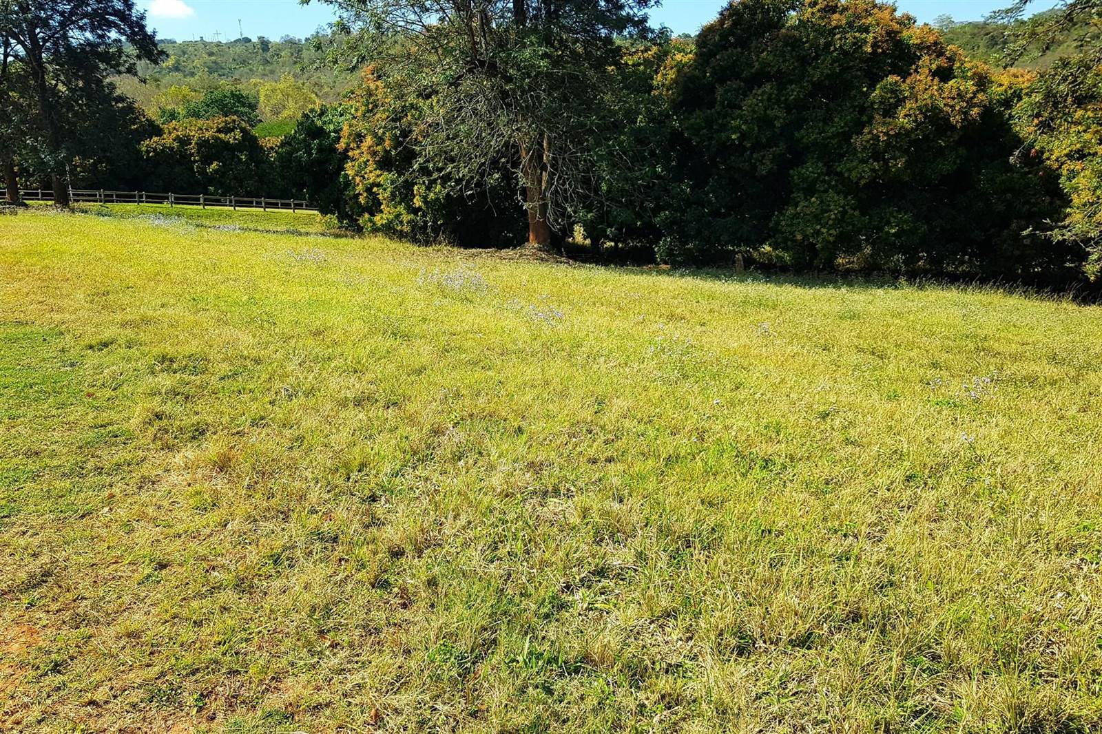 3279 m² Land available in Tzaneen photo number 11
