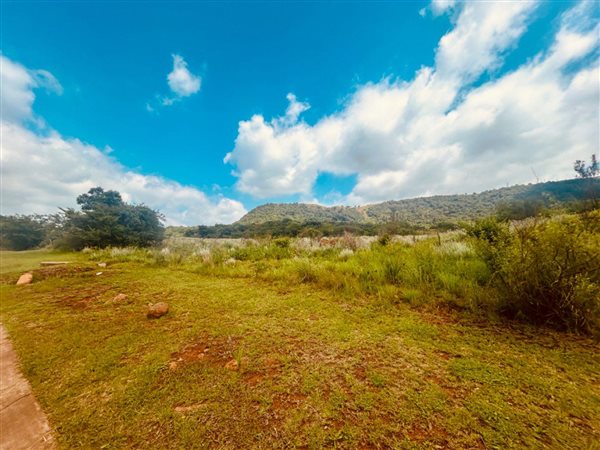 2 978 m² Land