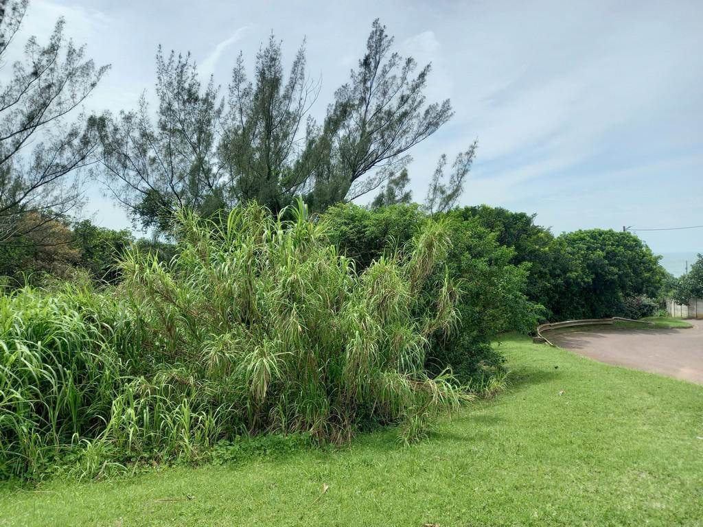 2283 m² Land available in Blythedale Beach photo number 5