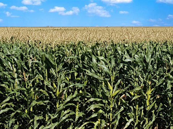 1 100 ha Land 1 100 ha Land