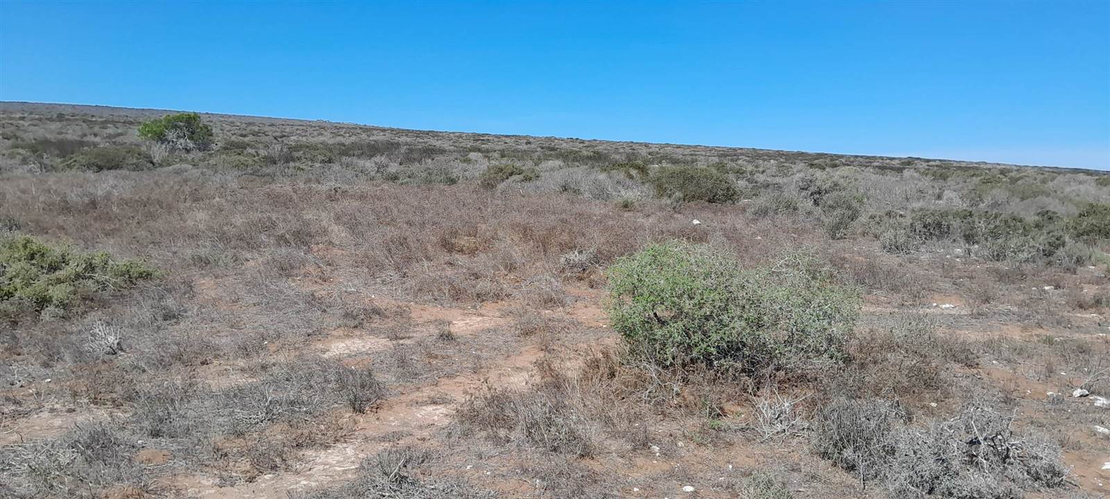 2.5 ha Land available in Jacobsbaai photo number 3