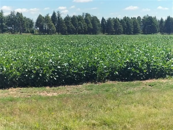 1 288 ha Farm