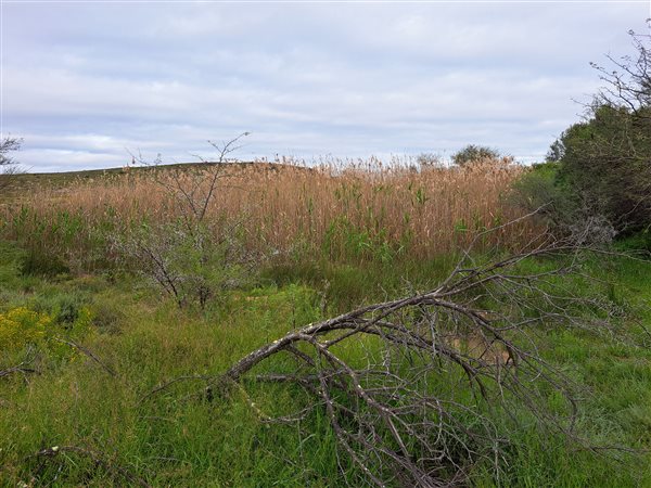 1 800 ha Farm