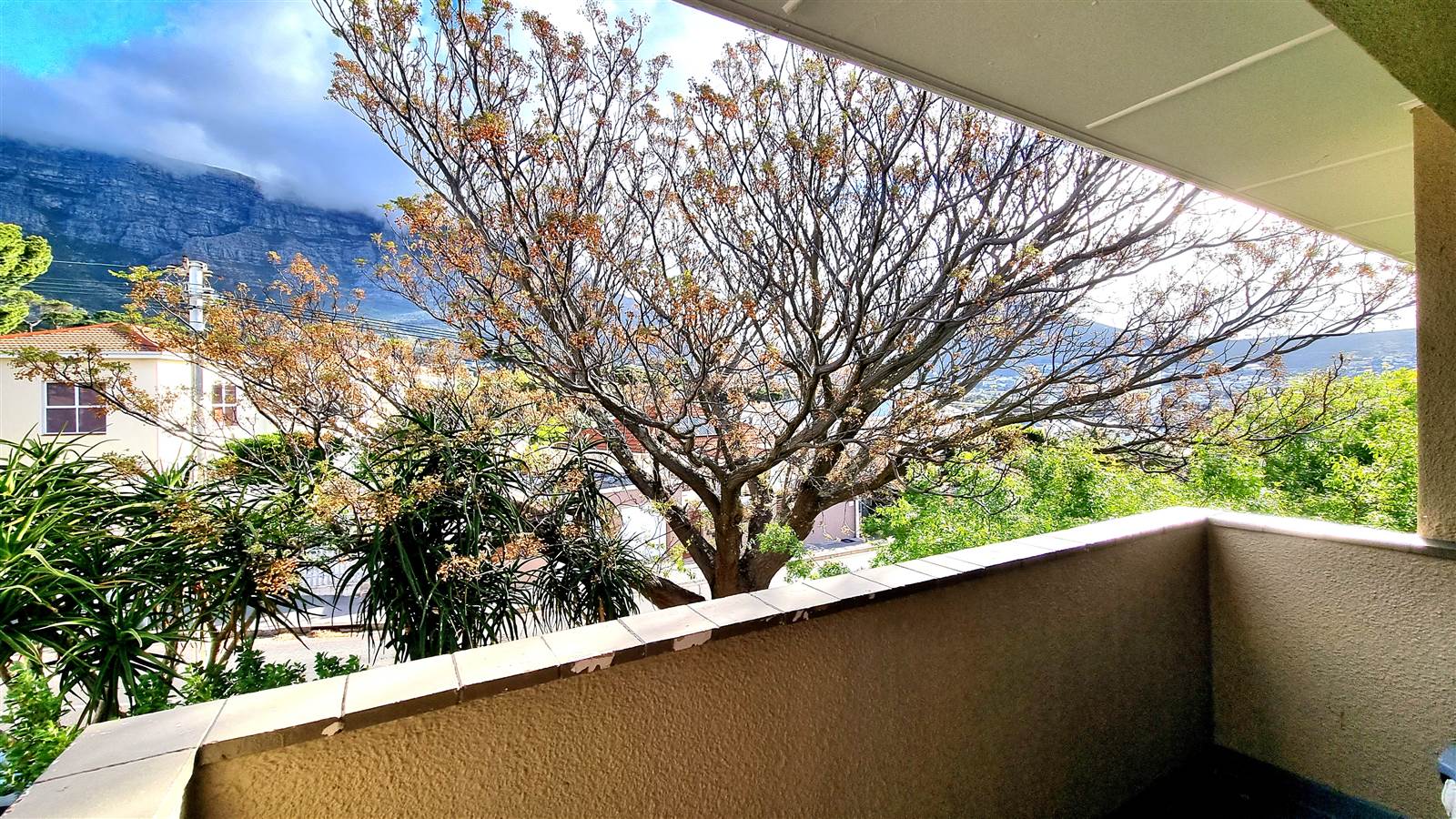 2 Bed Apartment in Vredehoek photo number 2