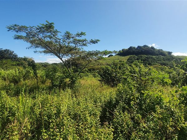 512 m² Land available in Sea Park