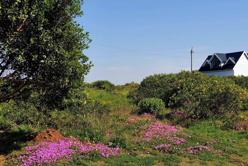610 m² Land available in Boggomsbaai photo number 4