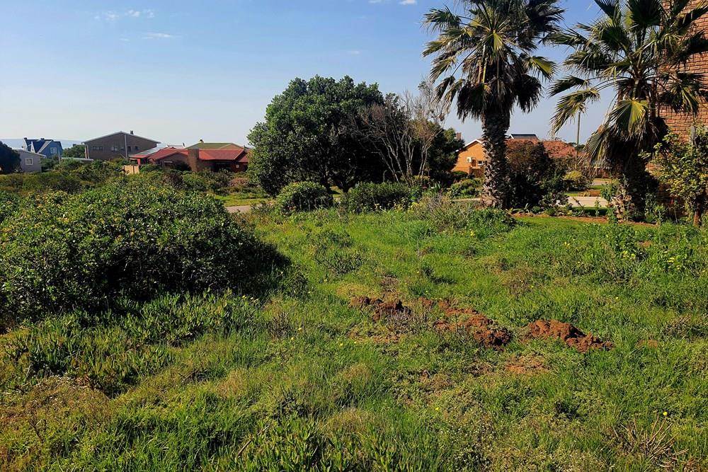 610 m² Land available in Boggomsbaai photo number 7