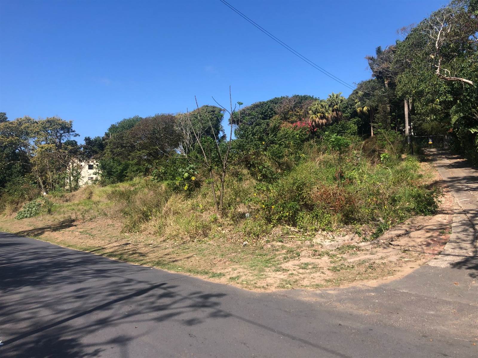 2048 m² Land available in Umtentweni photo number 7