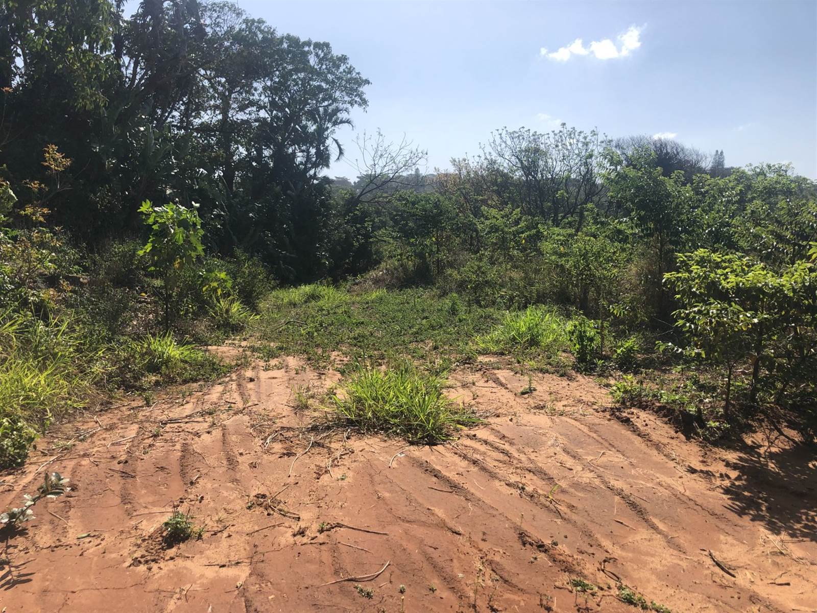 2048 m² Land available in Umtentweni photo number 6