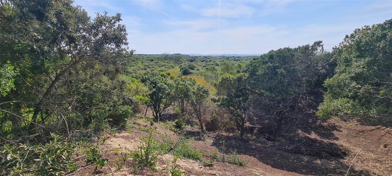 1348 m² Land available in St Francis Bay photo number 6
